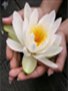 Loving Kindness Meditation