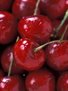 Mood Foods